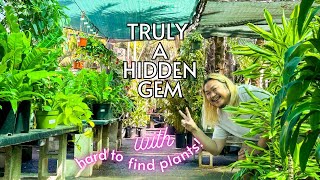 Orange County’s Coolest Nursery Is a Slice of Plant Paradise