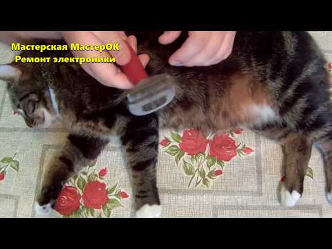 Чесалка тример для вашего домашнего питомца. Собери кота