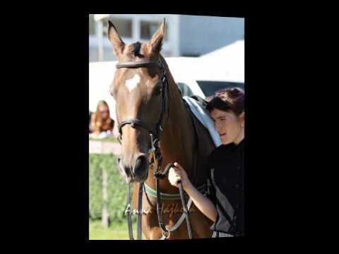 121.Velká Pardubická - Startovní listina