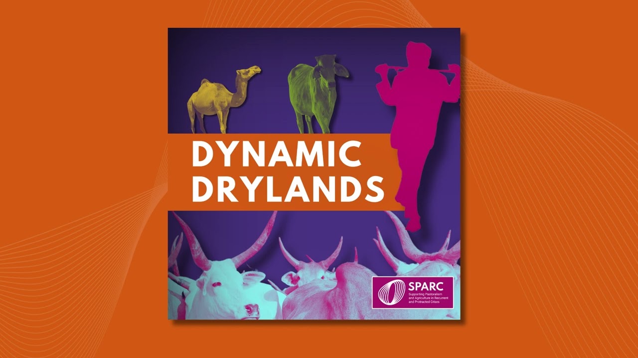 Dynamic Drylands | Episode 2: Untangling land tenure and conflict in the drylands