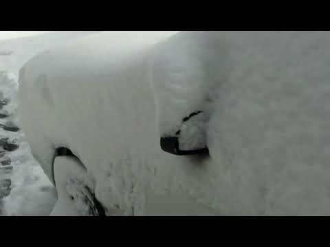 Thumbnail for 1993 Ford Tempo Snowy Cold Start and Tour by Ford Tempo