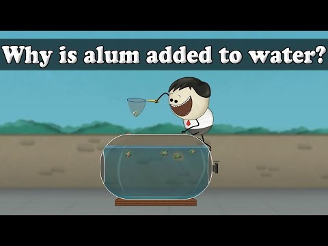 Water Purification - Why is alum added to water? | #aumsum #kids #science #education #children