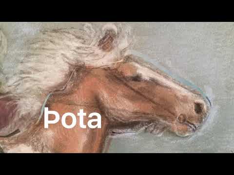 23. desember Ketkrókur og Þota - Der Keulendieb