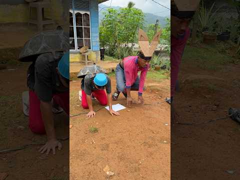 Kura kura vs kelinci 🥹❤️🇵🇸❤️🥰🍉