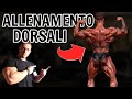 ECCO L'ALLENAMENTO DI SCHIENA DI CHRIS BUMSTED *Mr Olympia Classic Physique*