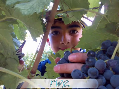 Ndi Umuzabibu - by Mgr Dominique Ngirabanyiginya ( Cercle Saint Paul Nyakibanda)