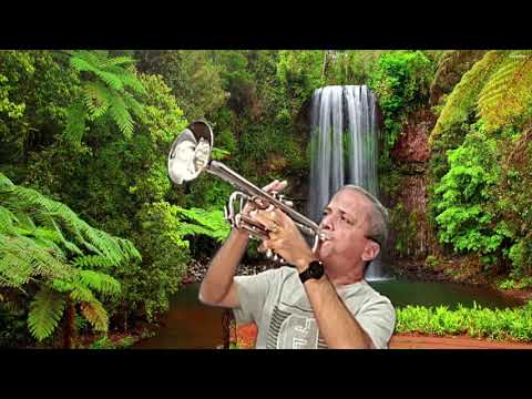 VEM A JESUS,Ó ALMA ERRANTE