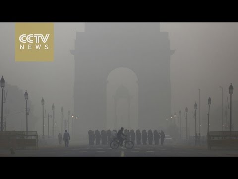 New Delhi closes over 1,800 schools in response to dangerous smog