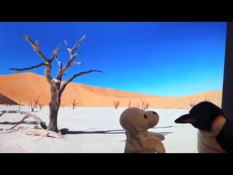 Science vs. Pseudoscience