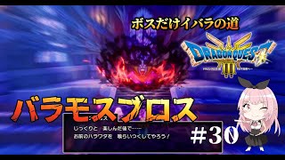 【ドラクエ3HD-2Dリメイク】ルビスの塔：バラモスブロス戦(ボスだけいばらの道)【PS5実況】#３０