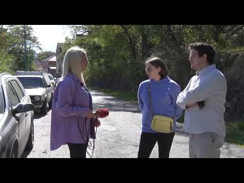 Postavljene kućice za pse i mačke lutalice