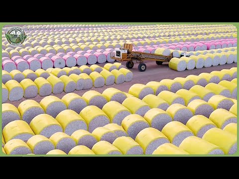 How Million Tons of Cotton Are Processed – Massive Cotton Farming For Fabric