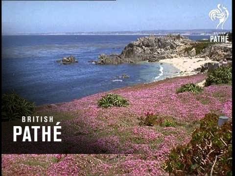 Out Takes / Cuts From Cp 735 - California (1968-1969)