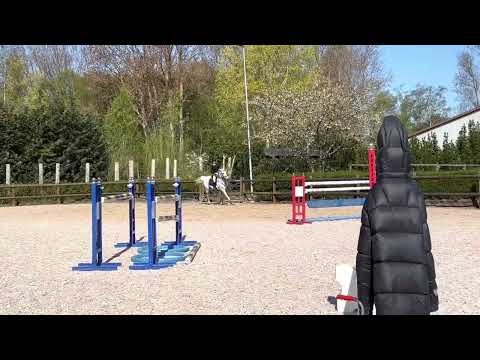 SOLD - Gelding 2012, Et Encore de Muze - Chellano Z