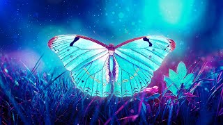 THE BUTTERFLY EFFECT ⁂ Raise Positive Energy Vibrations ⁂ 432Hz Music