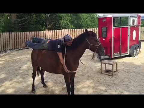 Aufsitzen und Taufe unserer Mustang Stute