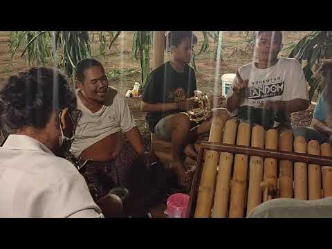 CATUR ARUM - JANUR MELENGKUNG (COVER By SDM Acoustic)