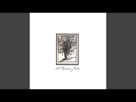Sorry Man - The Avett Brothers