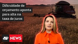 Hora H do Agro: Plano Safra deve ser anunciado entre 22 e 23 de junho