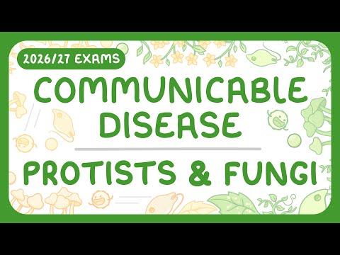 GCSE Biology - Communicable Disease | Protist & Fungal Disease (2026/27 exams)