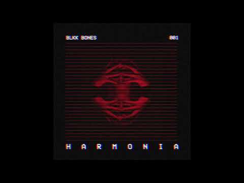 Blkk Bones - Equilibrium (feat. Jessica Zese)
