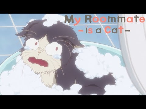 Bath Time | My Roommate is a Cat