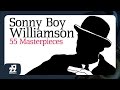Sonny Boy Williamson - Let Your Conscience By Your Guide