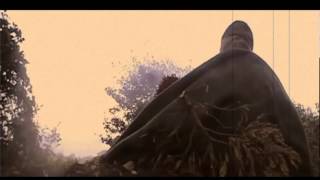 Golden Thread by Passenger