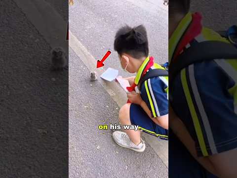 The Schoolboy & The Tiny Owl: An Unlikely Friendship! 🦉🎒#shorts#own#rescue