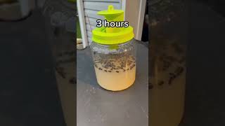 This Fly Trap Is Insane!!
