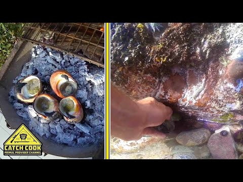 Foraging for Alikreukel, Delicious Shellfish Recipe [CATCH COOK] Struisbaai, Western Cape Video
