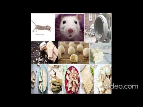 White Boy Justin Bennett - White Chocolate