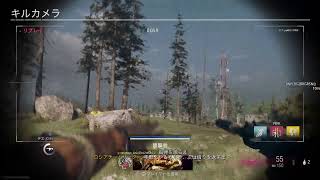 ［BLESS UNLEASHED］のんびりMMOではなくウォーゾーン