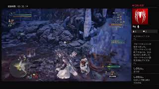 PS4 MHWアイスボーンやる