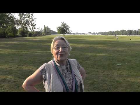 An early chimp catches the trees.