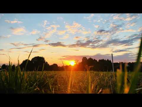 Morning song and morning saying Waldorf forest kindergarten | Rudolf Steiner pedagogiek