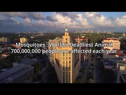 Lee County brings Senecio AI technology to fight mosquitoes logo