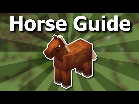 Everything you Need to Know About Horses in Minecraft 1.20 - Mob Guide