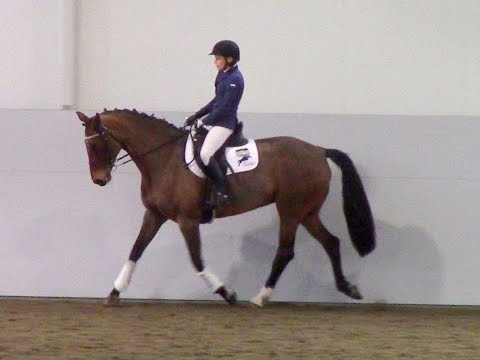 LB:3 NRYF 2015 - 1.4.17 - Doña Paloma f. 2009