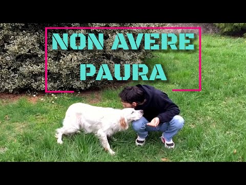 Rimedi popolari osteocondrosi Come trattare il polso sul braccio