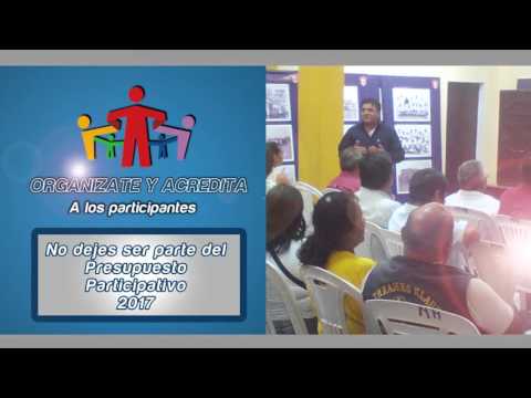 Presupuesto Participativo 2017