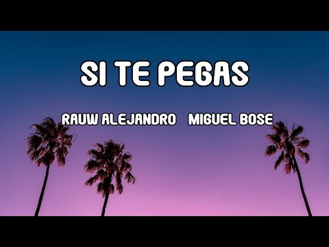 Rauw Alejandro x Miguel Bose - SI TE PEGAS (LETRA/LYRICS)