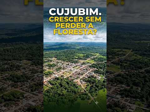 CUJUBIM. CRESCER SEM PERDER A FLORESTA