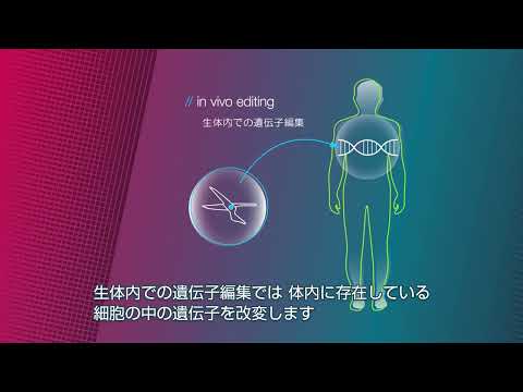 ルバス・ルジュネイ