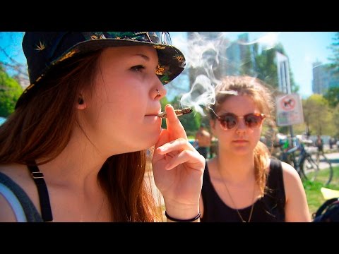 What's in today's weed? Testing the chemicals in marijuana (CBC Marketplace) Video