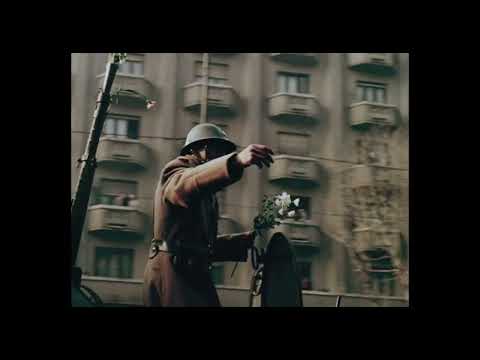 Clanker Jones feat  Maria Liana - Florile Dalbe (FETNO feature) RE-make Video