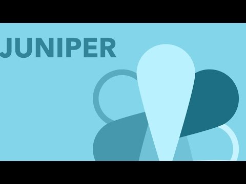 Introductory Nugget: Juniper Networks Junos Associate