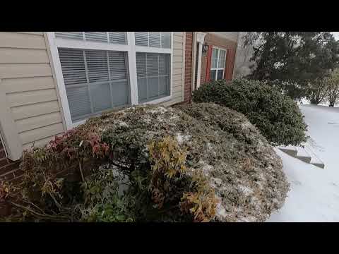 frozen mix and sleet in Lexington, KY (February 15th, 2021)