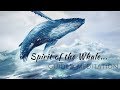 Spirit of the Whale | Meditation to hear your Intuition