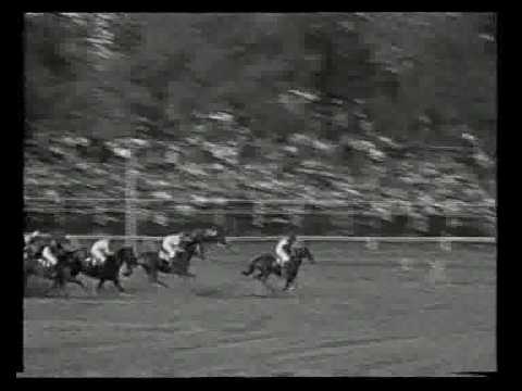 Velká Pardubická 1990 - Grand steeplechase in Pardubice.Full race - Old Taxis.